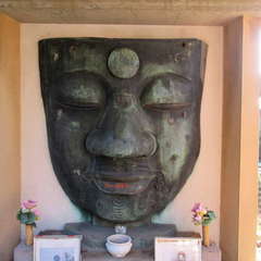 投稿日:2021年12月6日 写真