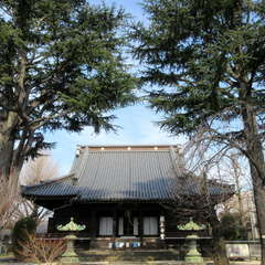 投稿日:2021年3月15日 写真