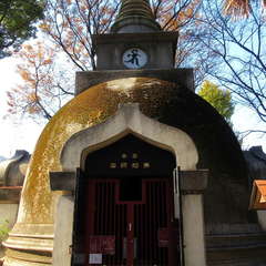 投稿日:2021年12月6日 写真