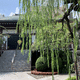 西福寺