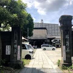 写真