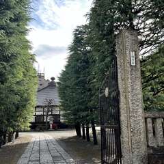 即成山 願行寺(投稿日:2025年12月13日) 写真