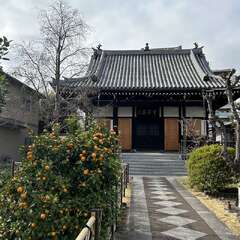 大竜寺(投稿日:2025年12月13日) 写真