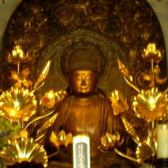 霊雲山 蟠龍寺(投稿日:2024年6月19日) 写真