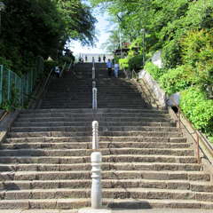 投稿日:2024年5月20日 写真