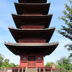 投稿日:2024年5月20日 写真