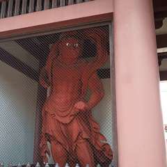 投稿日:2020年8月2日 写真