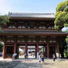 投稿日:2024年5月20日 写真