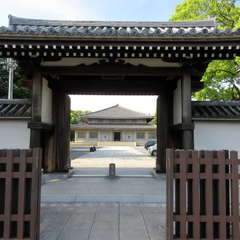 投稿日:2024年5月20日 写真