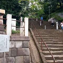 投稿日:2020年8月2日 写真