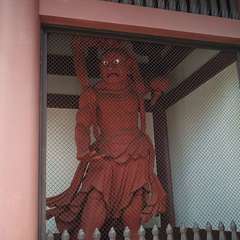 投稿日:2020年8月2日 写真