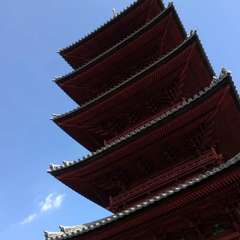 投稿日:2019年9月20日 写真