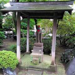 投稿日:2023年3月21日 写真