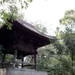 投稿日:2019年9月20日 写真