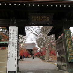 投稿日:2021年3月3日 写真