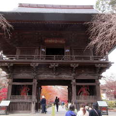 投稿日:2021年3月3日 写真