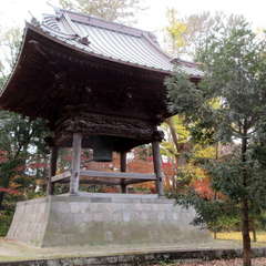 投稿日:2021年3月3日 写真