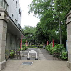 投稿日:2023年6月11日 写真