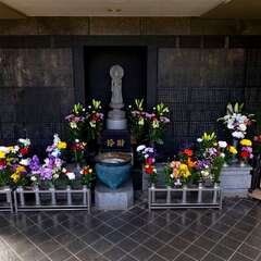 投稿日:2025年3月9日 写真