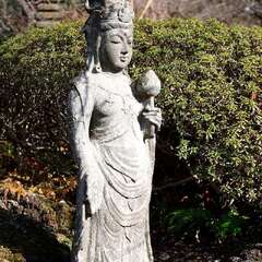 投稿日:2025年3月9日 写真