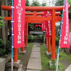 投稿日:2023年6月11日 写真