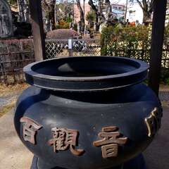 投稿日:2025年3月9日 写真