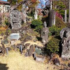 投稿日:2025年3月9日 写真