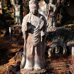 投稿日:2025年3月9日 写真