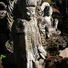 投稿日:2025年3月9日 写真