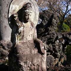 投稿日:2025年3月9日 写真