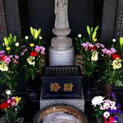 投稿日:2025年3月9日 写真