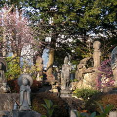 投稿日:2024年1月31日 写真