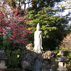 投稿日:2024年1月31日 写真