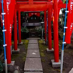 投稿日:2025年3月9日 写真