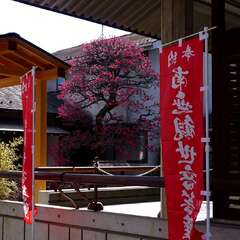 投稿日:2025年3月9日 写真