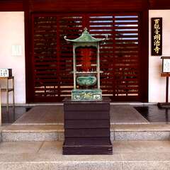 投稿日:2025年3月9日 写真