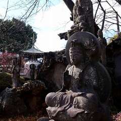 投稿日:2025年3月9日 写真