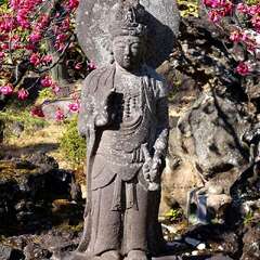 投稿日:2025年3月9日 写真