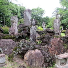 投稿日:2023年6月11日 写真