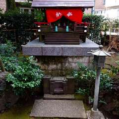 投稿日:2025年3月9日 写真