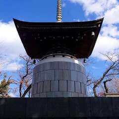 投稿日:2025年3月9日 写真