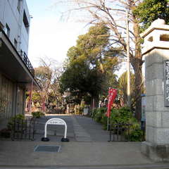 投稿日:2024年1月31日 写真