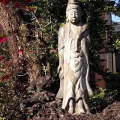 投稿日:2025年3月9日 写真