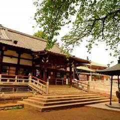 投稿日:2025年1月28日 写真