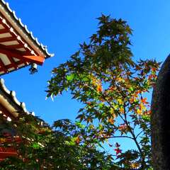 投稿日:2025年1月28日 写真