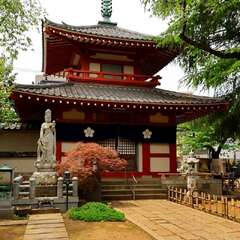 投稿日:2025年1月28日 写真