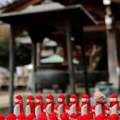 投稿日:2025年1月25日 写真