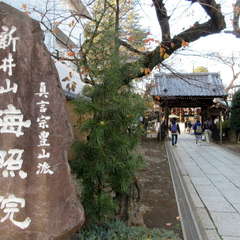 投稿日:2021年2月17日 写真