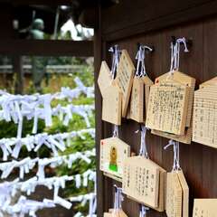 投稿日:2025年1月25日 写真