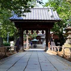 投稿日:2025年1月28日 写真